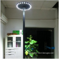 Solar Outdoor Lights with Integrated Solar Panel